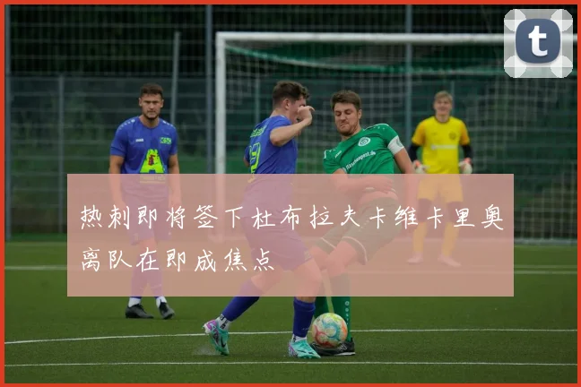 热刺即将签下杜布拉夫卡维卡里奥离队在即成焦点