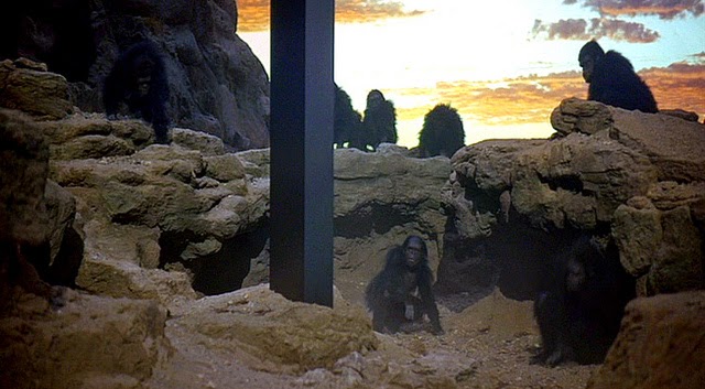 stupid monkeys looking at a monolith